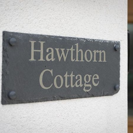 Hawthorn Cottage Tenby Exteriör bild